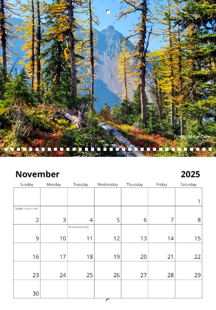 Wall Calendar 2025