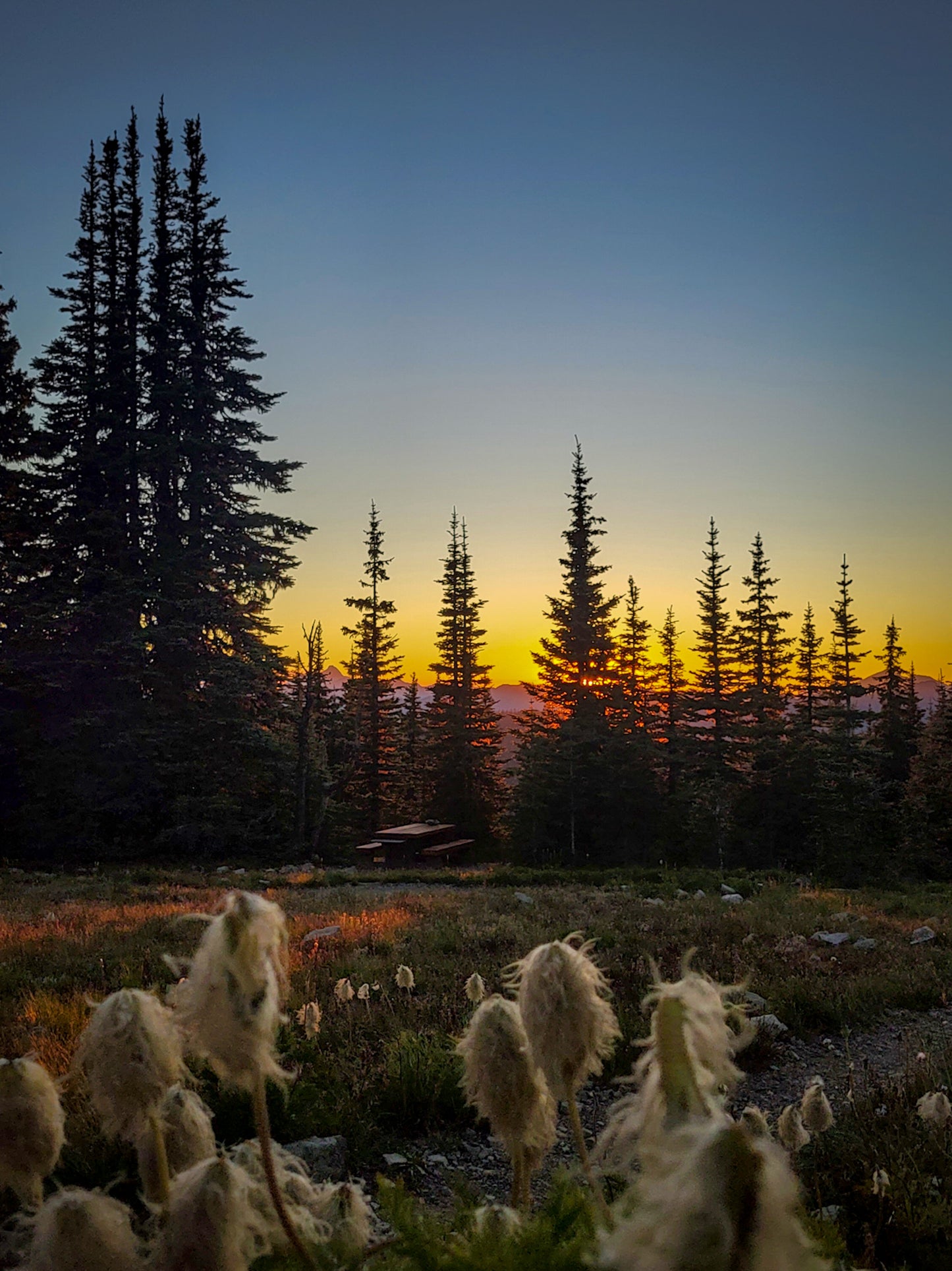 Manning Park Sunset