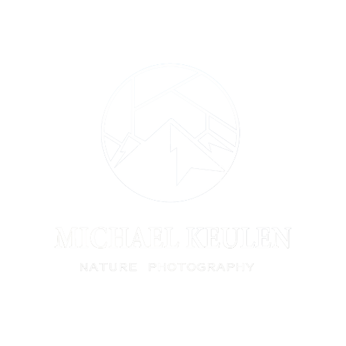 Michael Keulen